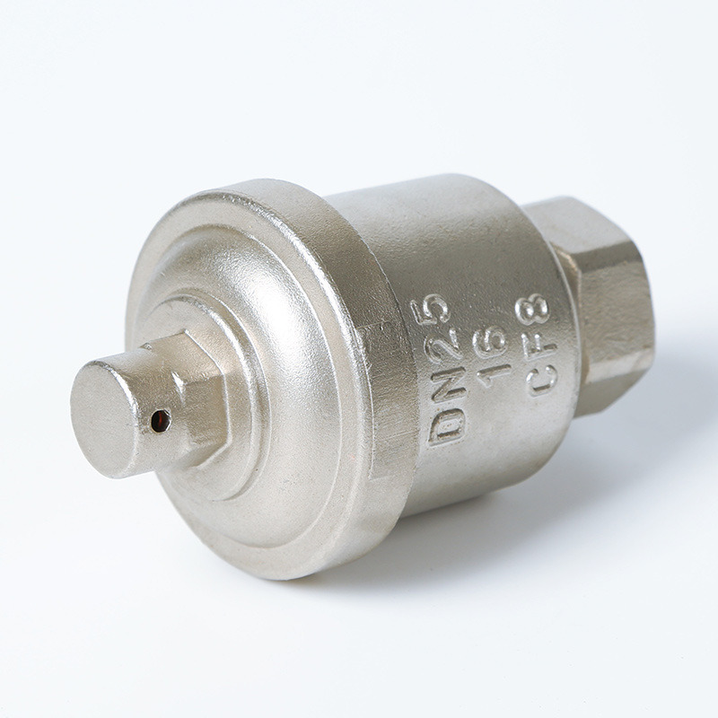 Female Threaded Exhaust Valve CF8