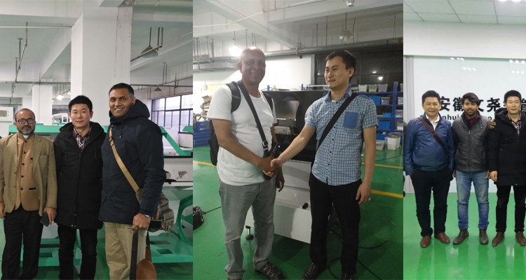 100-900KG/H Sort Machine Color for Macadamia Nut Wanlut Hazelnut