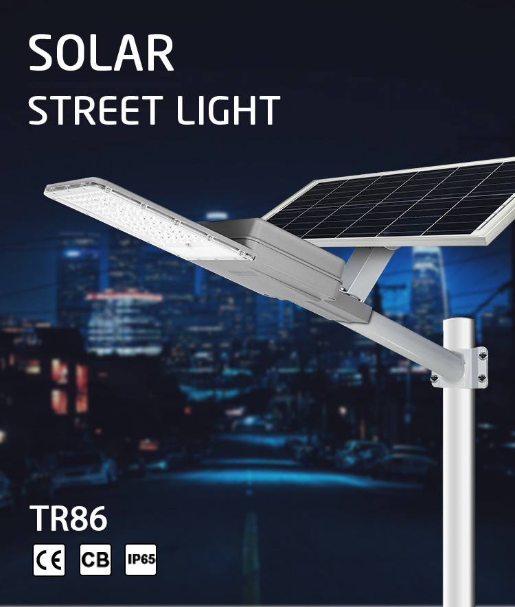 60w Induction Solar Powered LED Street Lights 6000 Lumens With Panel