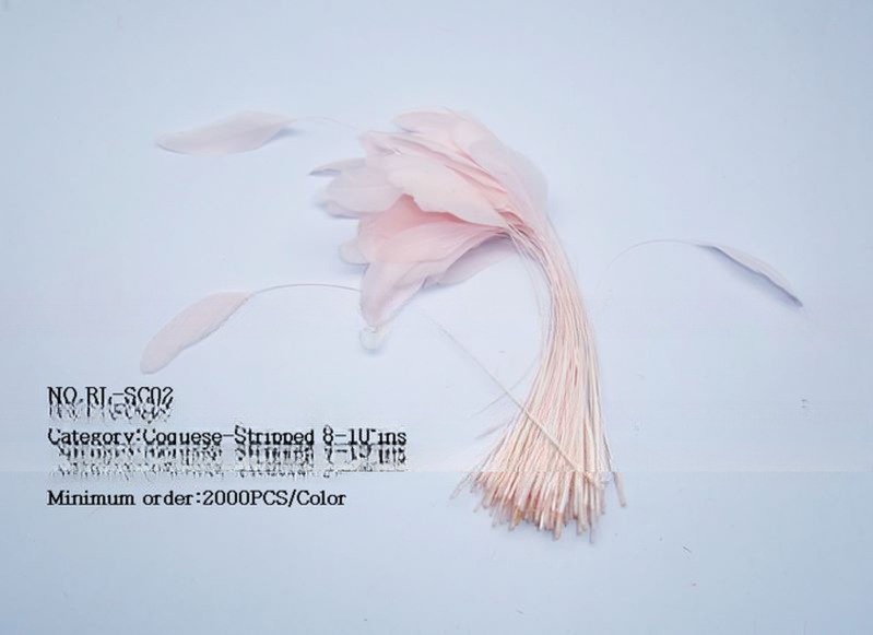 FEDEX Shipping for Millinery Supplies Stripped Coque Feather