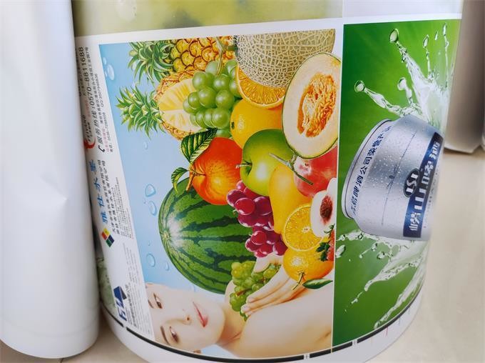 Unit Type 4/5/6/7/8 Color Flexography CE Approved Flexible Packaging Printing Machine
