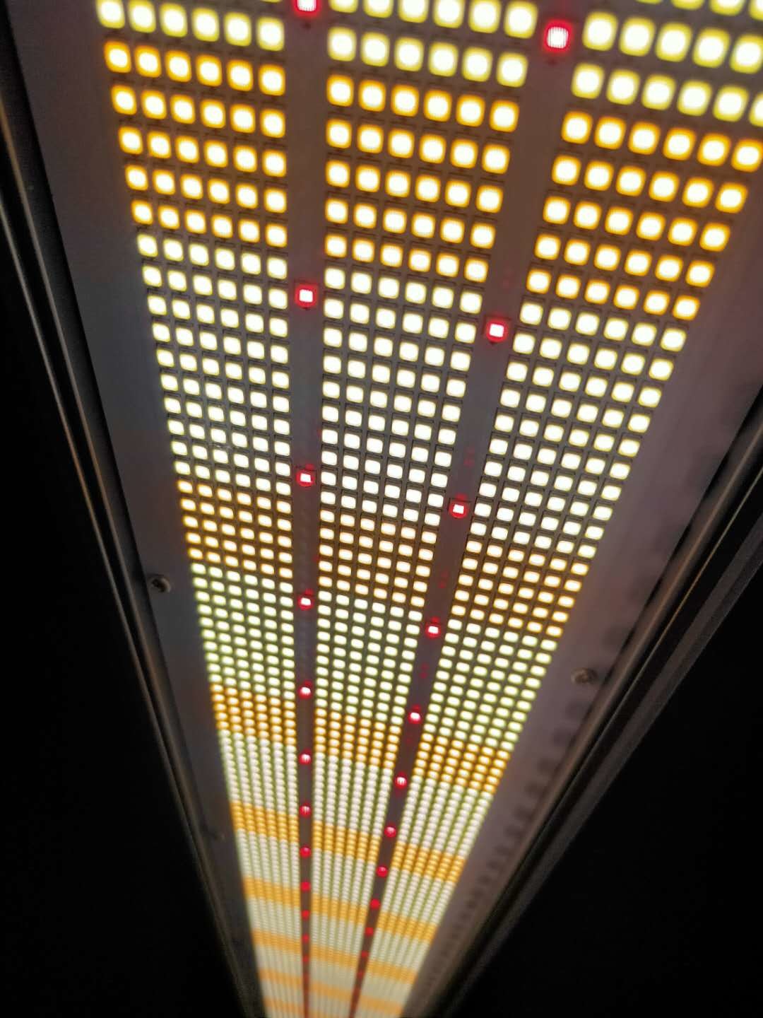 Outdoor Greenhouse 330W IP65 Greenhouse LED Grow Lights