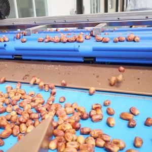 AI-Powered Sizing 2.0 Tons Per Hour 8-Lane Palm Dates Sorting Machine