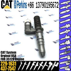 China CAT Remanufactured Injector 162-8809 204-2067 229-1631 FOR engine 3508B/3512B/3516B on sale