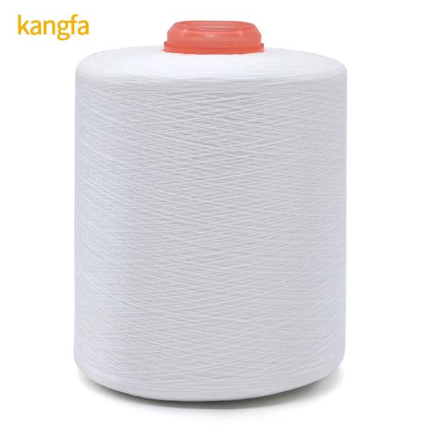 White 150D/3 1.6kg High Tenacity Polyester Yarn Suitable for Various Application