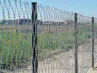 High Security Razor Wire Fence Welding Mesh 50mm*50mm