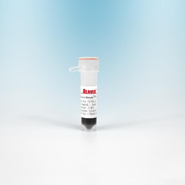 NHS Magnetic Polymer Beads Preactivated N - Hydroxy Succinimide Nanoparticle 2
