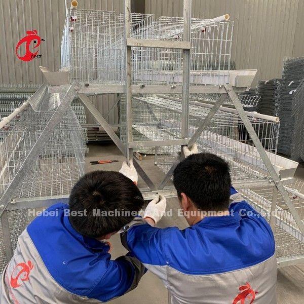 Feeding Trough Of Chicken Poultry Farming Cage System In Nigeria Ghana Zambia