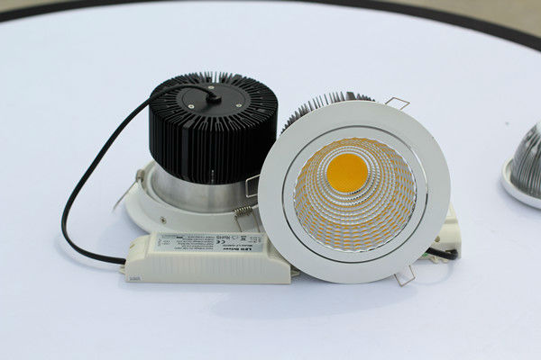 hot sale 3/6/8/12 inch COB LED downlight with CE ROHS DALI