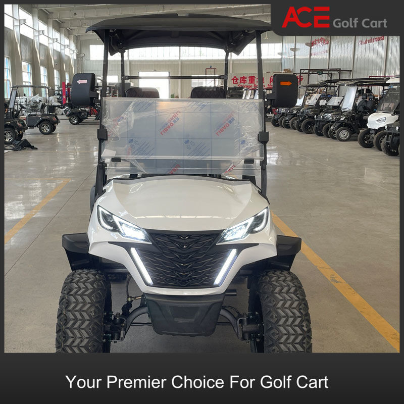 Plastic Cover 2 Seater Electric Golf Buggy Hunting Cart With CE Certificate