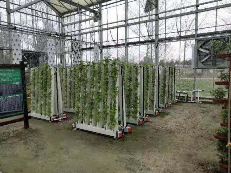 Commercial Hydroponics Nft Strawberry And Flower Vertical Growing System Zipgrow Tower