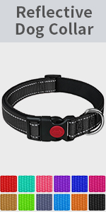 Dog Collar