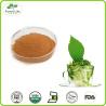 Buy cheap Organic Natural Green Tea Extract 98% Tea Polyphenol from wholesalers