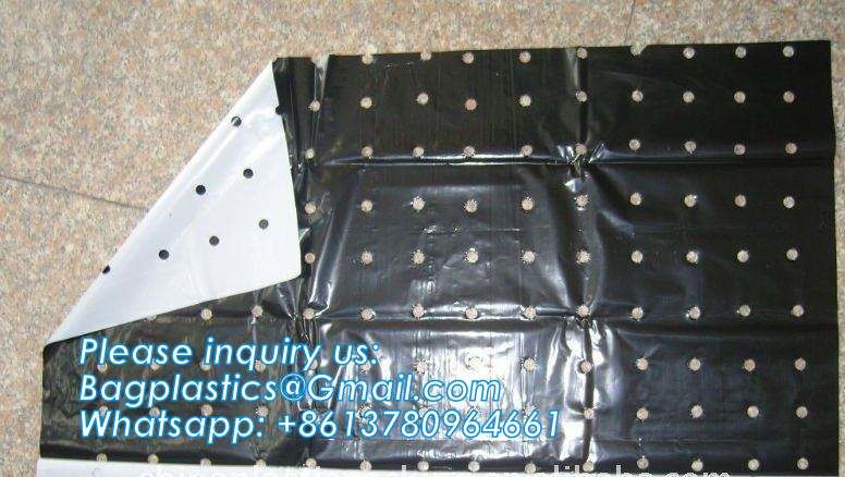 Transparent Low Tunnel Film Perforated For Culture Of Seedling Maturing Vegetables perforated red plastic mulch