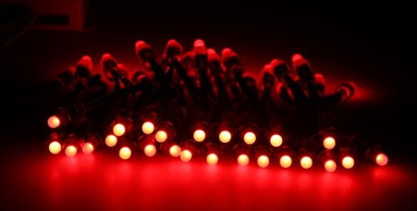 12mm 5v/12v TM1914/GS8208/WS2811/UCS1903 ip68 waterproof pixel string lights