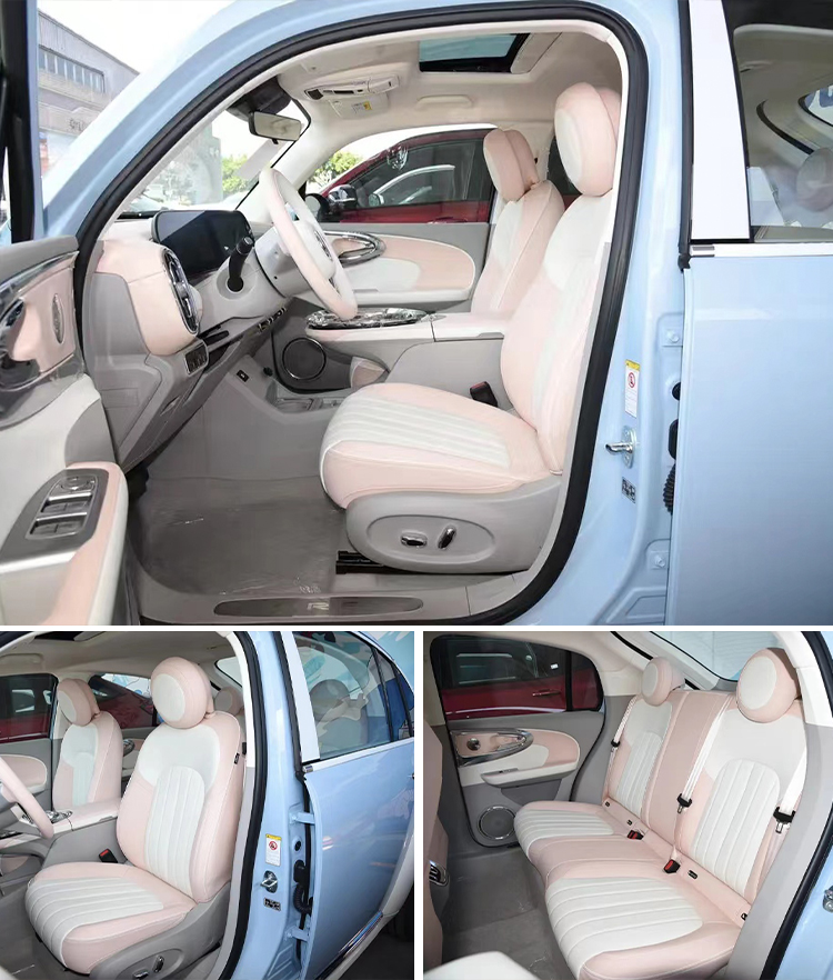 ORA Motors and Ora Ballet Cat The Most Sought-After Models for Energy Vehicles in 2024