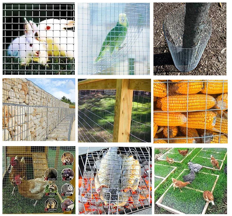 1/4 X 1/4 Building Reinforcing Welded Steel Mesh Hot Dipped Galvanized / Electrogalvanized