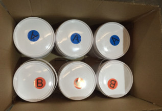 10 Shore A Platinum Silicone Rubber For Rose Silicone Mold