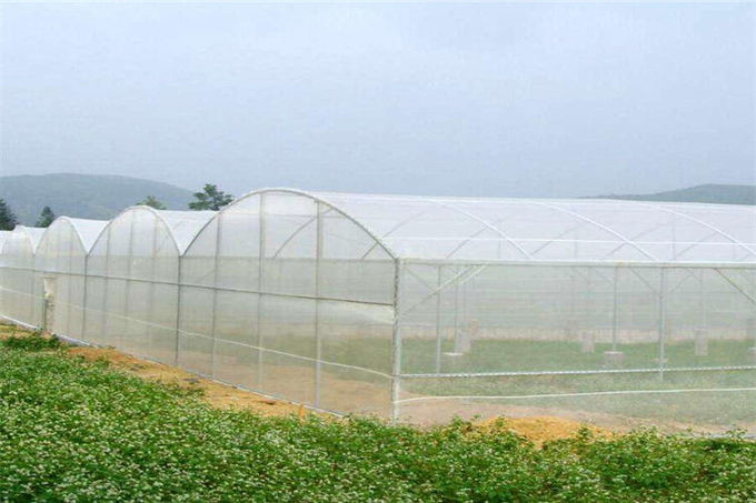 Lightweight Garden Insect Mesh Netting , Outdoor Mosquito Netting