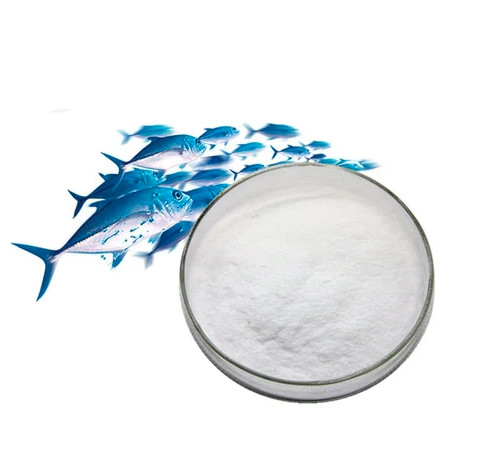 Pharmaceutical Grade Collagen Protein Powder Source Fish Cattle Odorless ISO9001