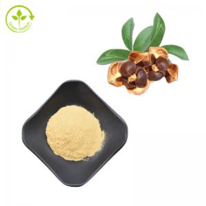 China 100% Natural Camellia Seed Extract 95% Tea Saponins Powder on sale