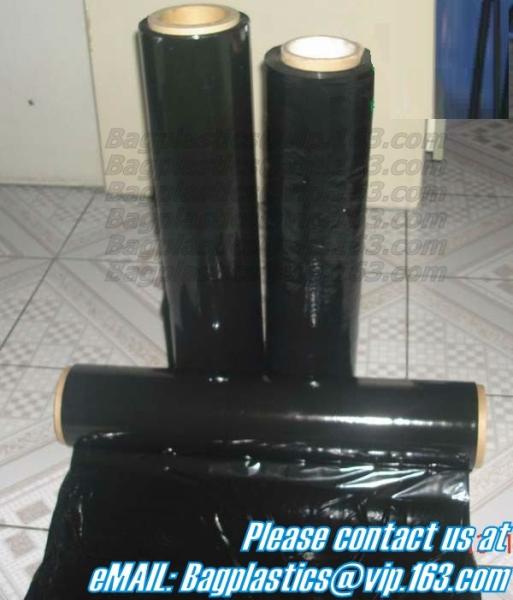 Sheeting, Wrap, Stretch Film, Produce Roll, Layflat Tubing, Sheet, Films, food