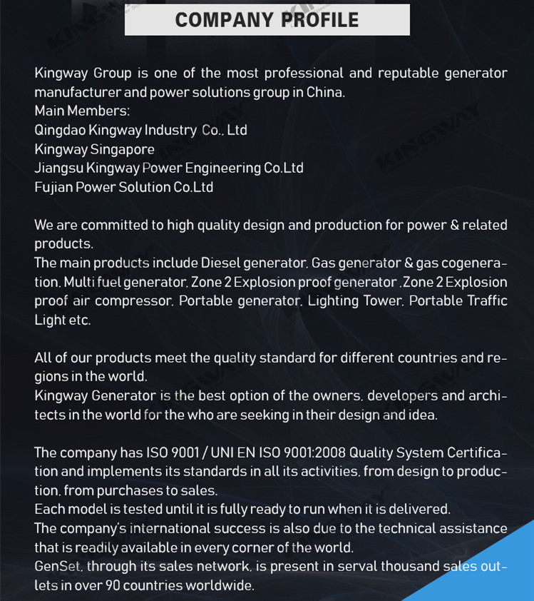 single 3 phase CE 50hz 1500rpm 60hz 1800rpm water cooled 100kw natural gas biogas gas engine