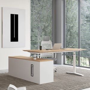 Modern Electric Height Adjustable Desk Ergonomic Executive Standing Desk