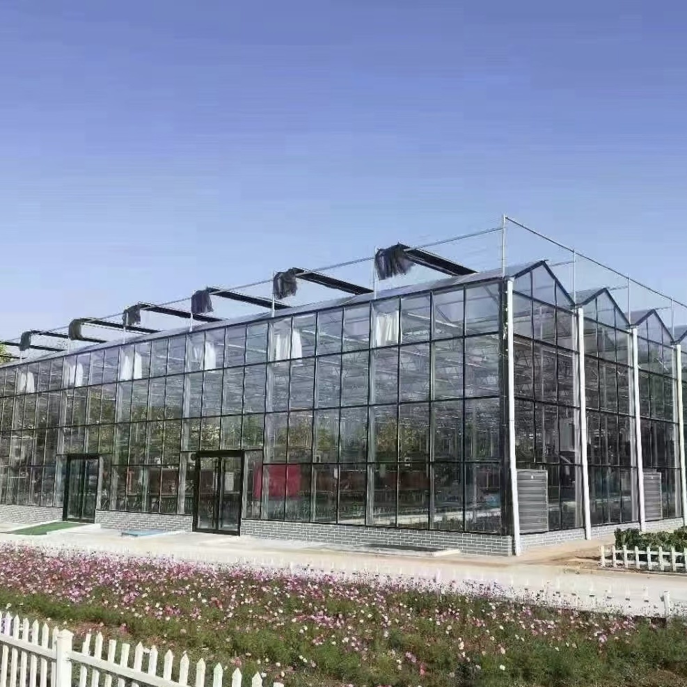 High Light Transmission Glass Greenhouse for Vegetables