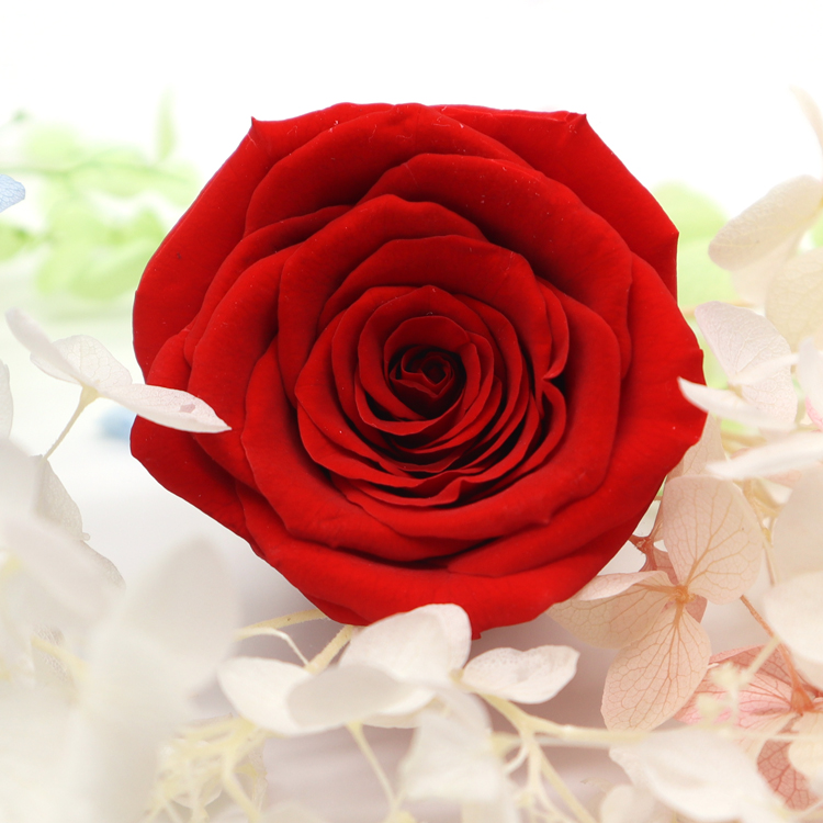 Long Time Using Dried Rose Heads , Allergy - Friendly Floral Head Wreath