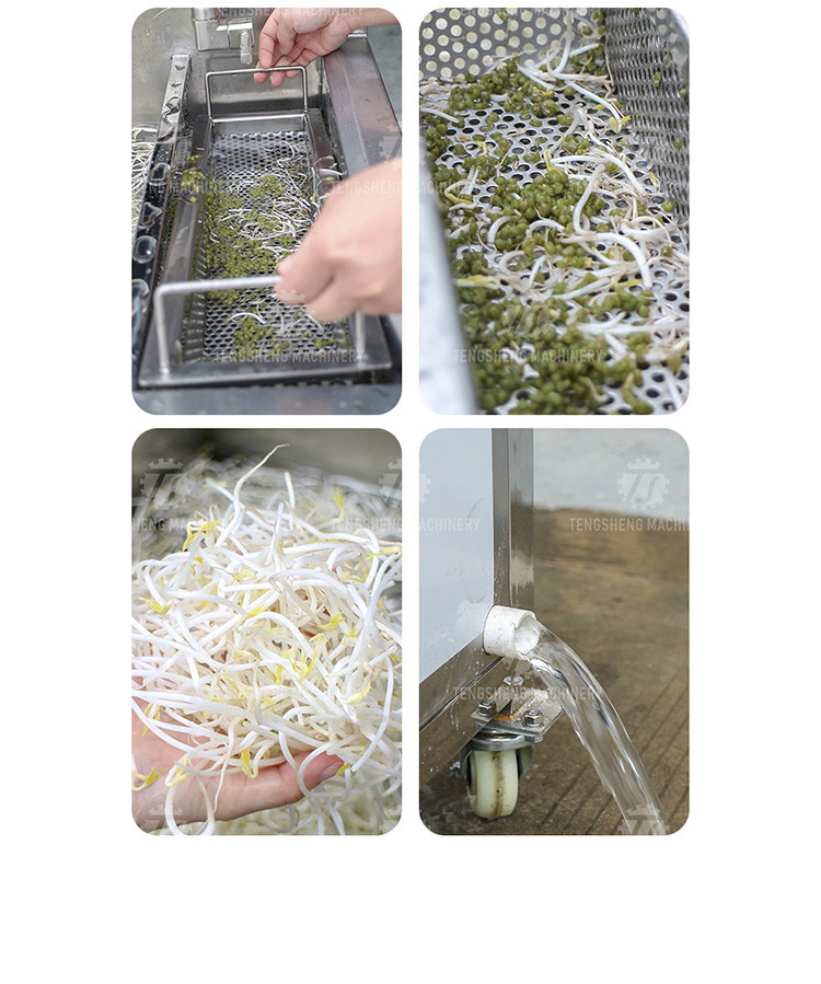 85KG Small fruit and vegetable processing equipment stainless steel single cylinder cleaning machine