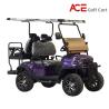 Buy cheap 48v 150HA Lithium Battery Electrical Golf Cart Steel Frame Top Speed 35km/H from wholesalers