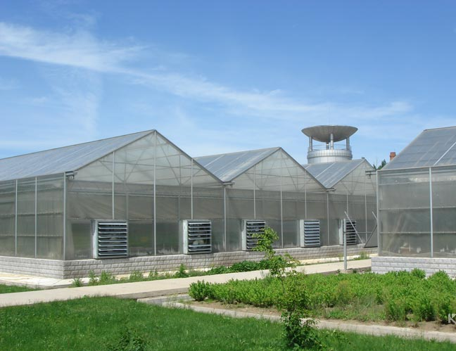 Venlo Type Greenhouse