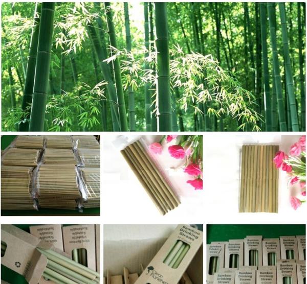 Organic Reusable Hand-Crafted Natural Eco Bamboo Drinking Straws,Natural Bamboo