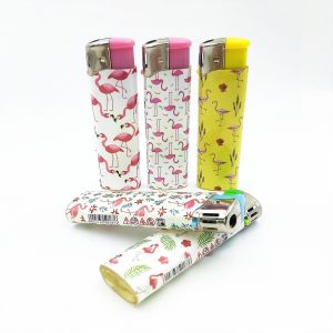 Portable Colorful Plastic Disposable and Refillable Torch Lighter for Electronic