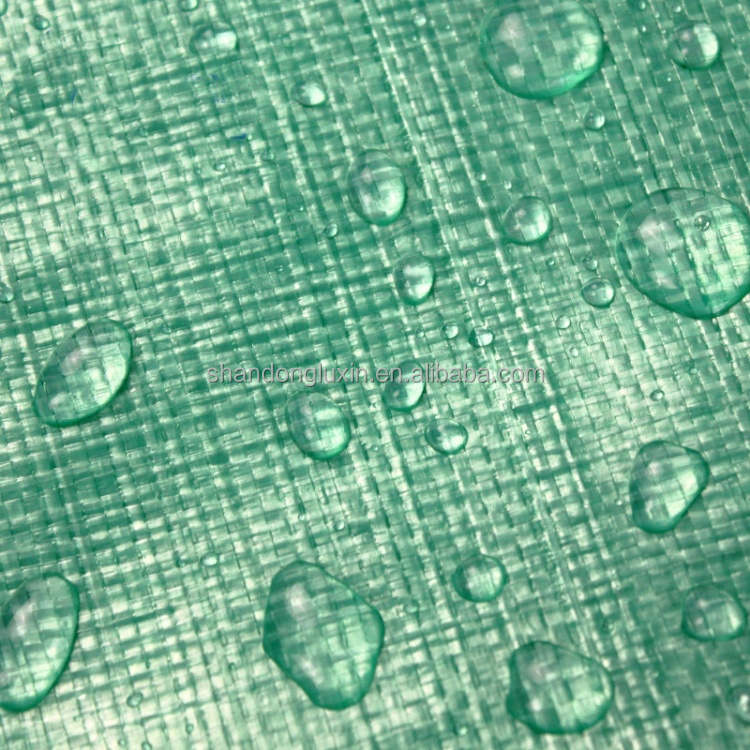 UV Protected Plastic Fabric Sheet for Agriculture/Industrial Cover in Standard Size
