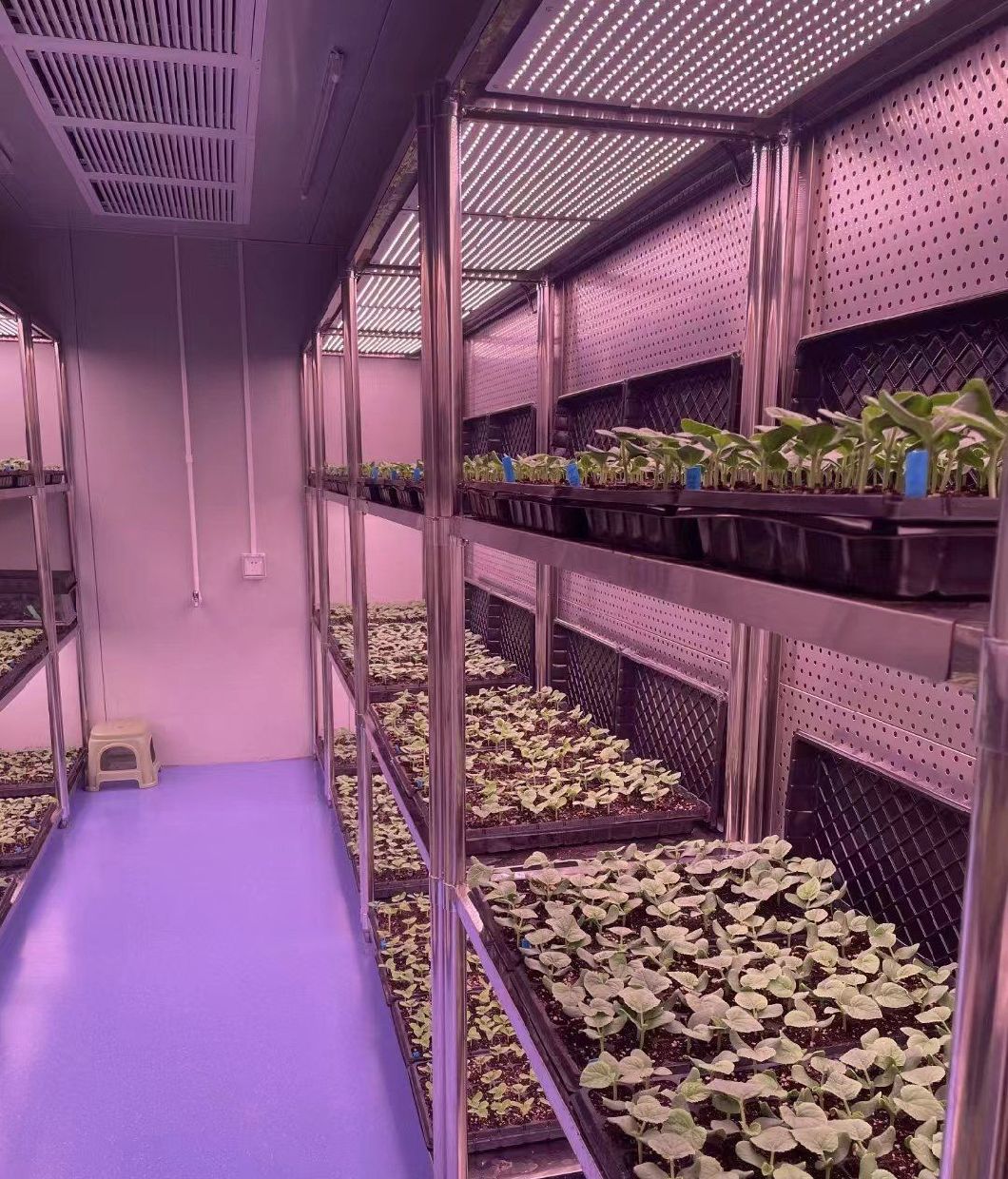 Lighting System for Container Greenhouses