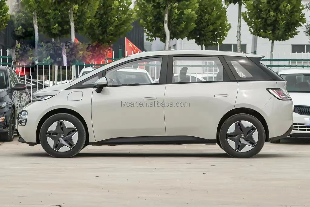 460km Range Pure Electric Vehicle with Front 6 Rear 6 Radar and Normal Cruise Control