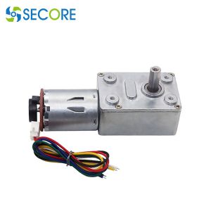 Hall Encoder Dc Worm Gear Motor 180rpm 24V Dual Phase 12W With Self Lock