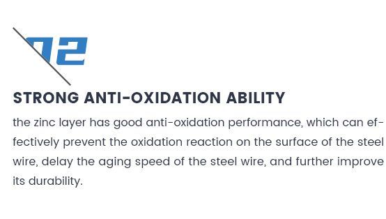 2.5mm 2.8mm 3mm Galvanized Wire Bwg Swg Diameter 2.5mm 2.8mm 3mm Hot DIP Electro Galvanized Steel Iron Wire Gi Wire