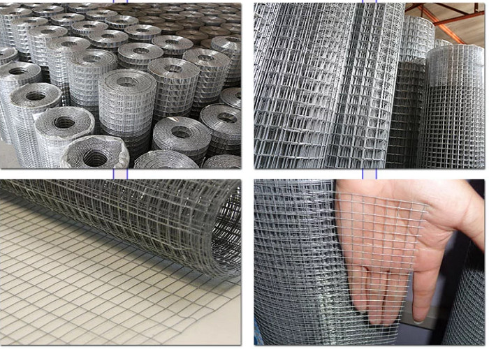 Pvc Coated Welded Wire Mesh Panels 1/4" X 1/4" For Runway Enclosures / Egg Baskets