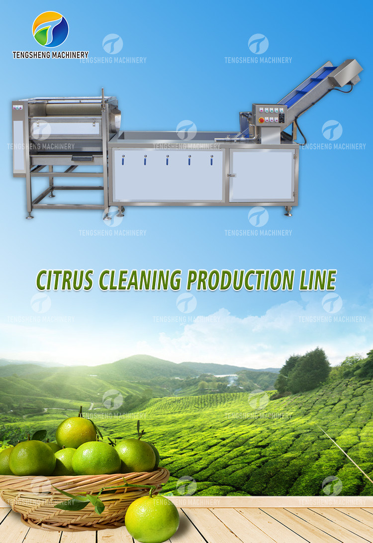 Citrus Stalk Eliminated Lemon Processing Machinery Industrial Air Bubble Brush
