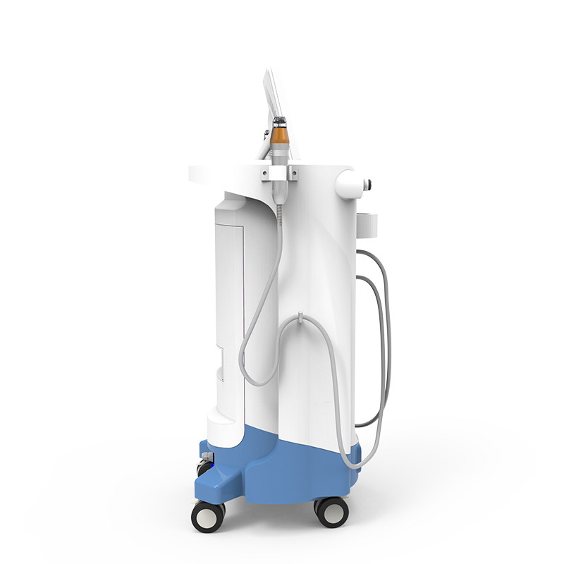 2019 Hot sale Fractional RF and Microneedle RF beauty Machine/fractional micro-needle rf skin