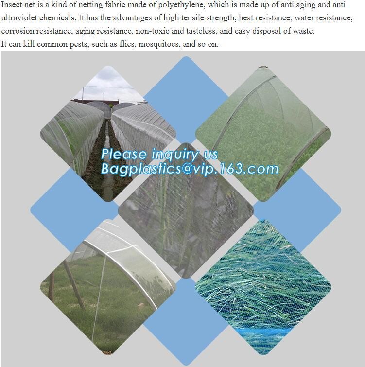 cheap and durable plastic colored anti mosquito netting/window insect screen,Industrial Agricultural Greenhouses use 2m