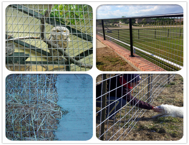 CE Wire Mesh Fencing Rolls , 1/4 inch Stainless Steel Mesh Panels