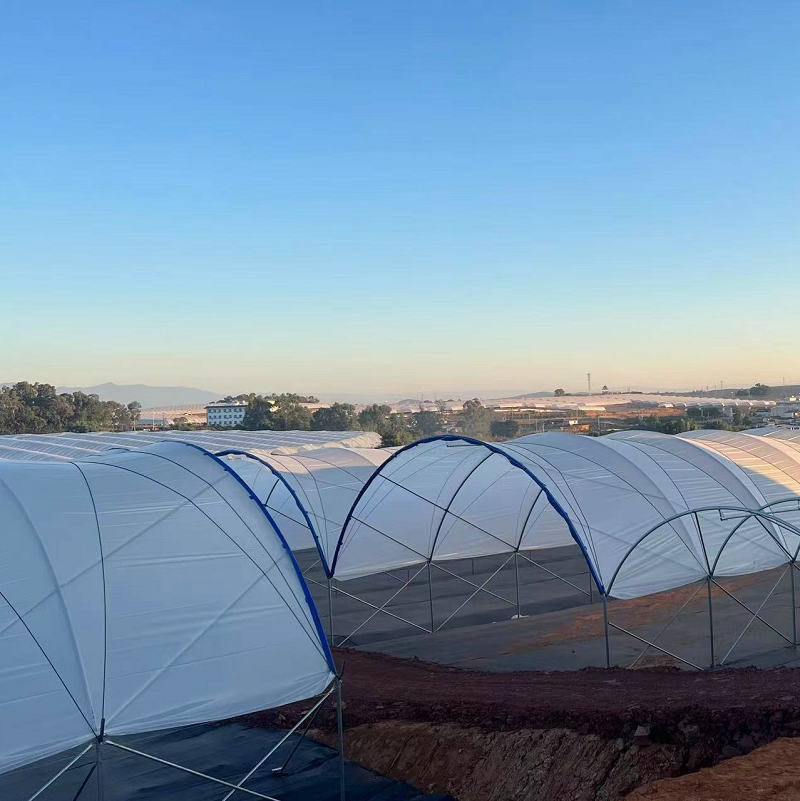 Good Quality Poly Tunnel Green House Low Cost Hot Sale Polytunnel Berry Greenhouse