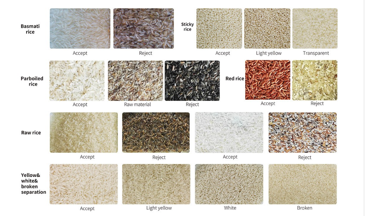 320 Channels Lentil Ccd Color Sorter For Food & Beverage Factory
