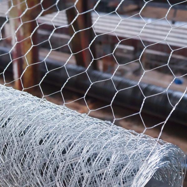 China Galvanized Chicken Hexagonal Wire Mesh Fencing Poultry Netting on sale China Galvanized Chicken Hexagonal Wire Mesh Fencing Poultry Netting on sale