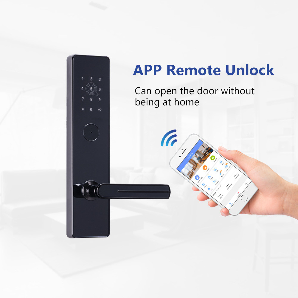 Smart Apartment Door Locks WiFi APP Access Remote Mirror Unlimited Data Capacity