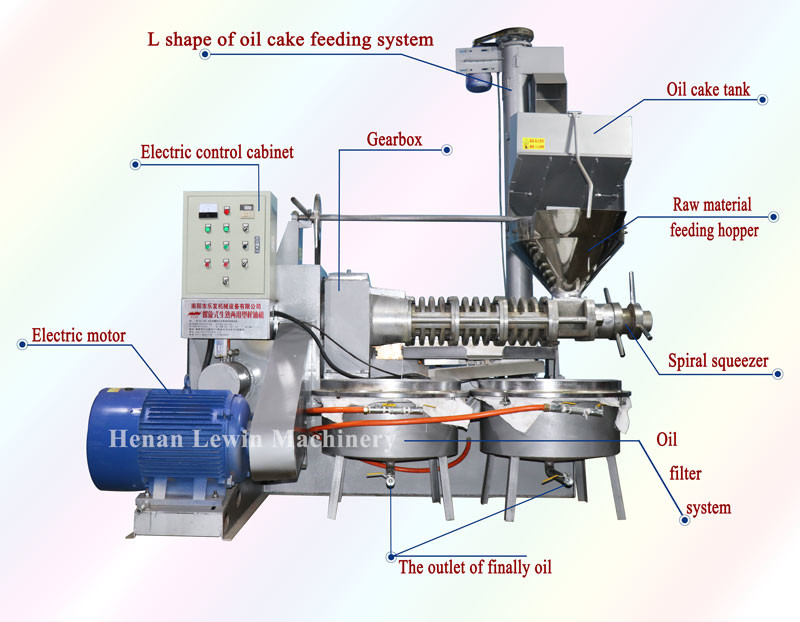 Automatic Screw Oil Pressing Machine 15KW Cold Press Coconut Oil Press 160 Kg/H